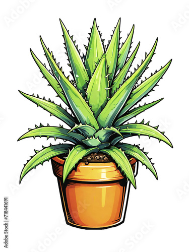Illustration of aloe vera plant in pot on transparent background 