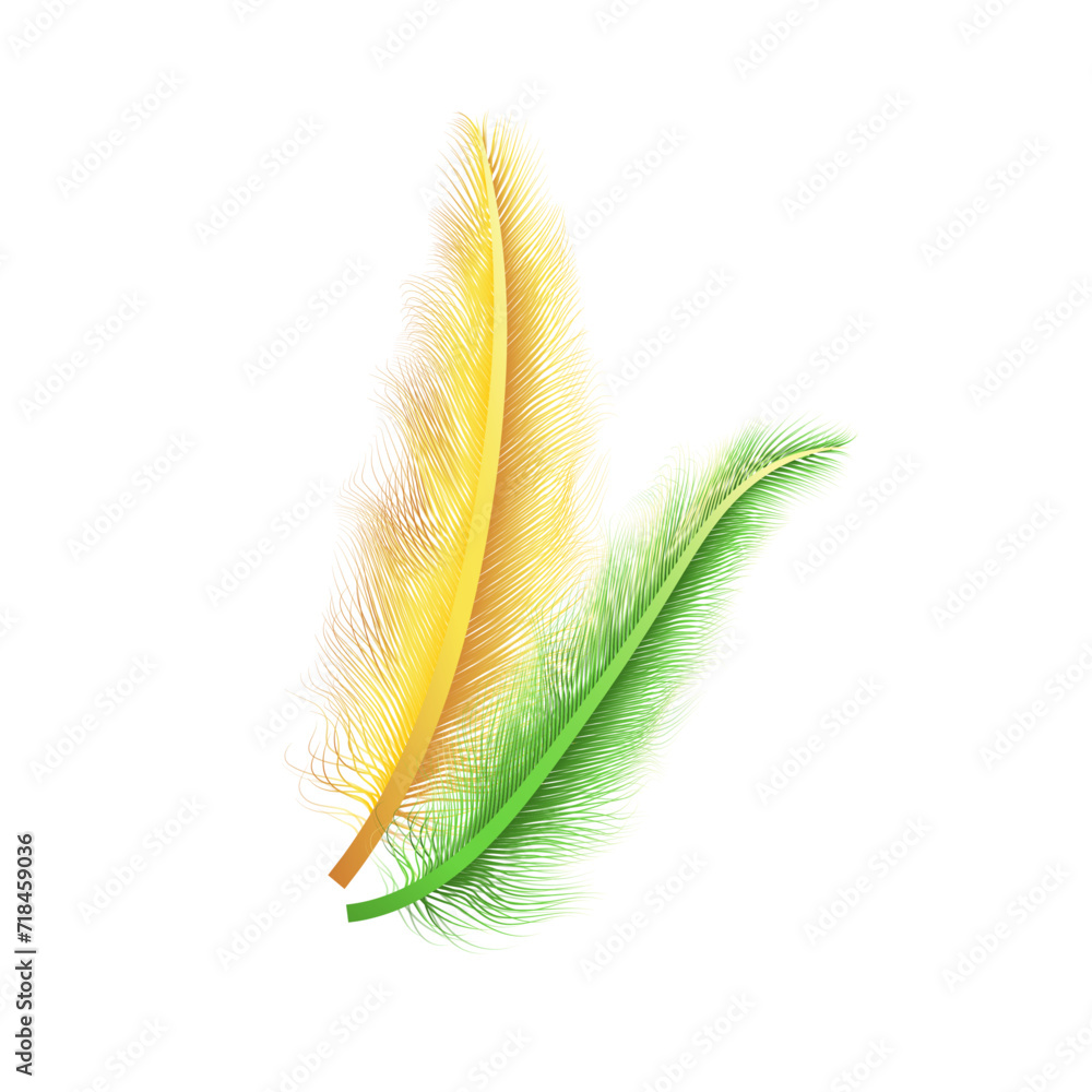 vector feathers realistic set on white background