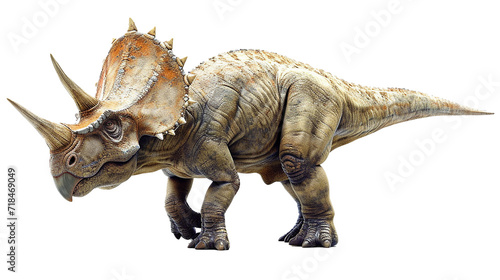 トリケラトプスのイメージ - image of Triceratops - No6-8 Generative AI © Orange Eyes