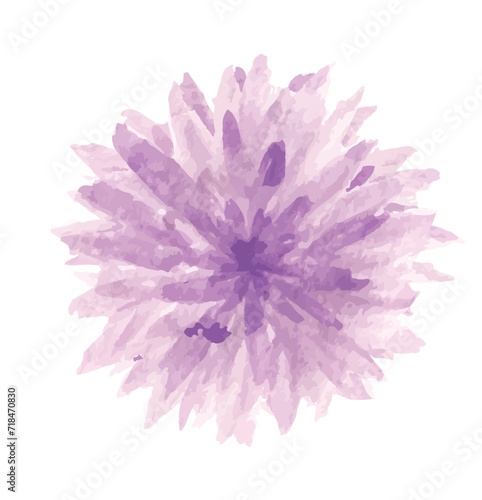 purple flower isolated on white background. watercolor dahlia flower for design. vector © sofia rahayu