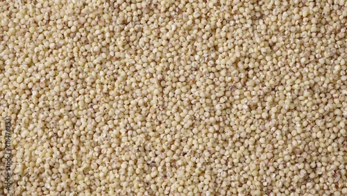 Wallpaper Mural Sorghum seeds closeup. Whole seeds of Sorghum Moench Torontodigital.ca