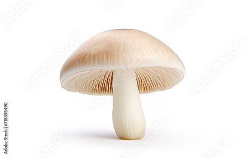 Fresh mushrooms in the photo on a white background. generative AI