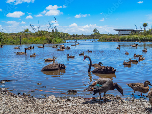 Travis Wetlands 16th January 2024