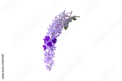 фотографія Close-up view of purple flower bouquet isolated on transparent background png file