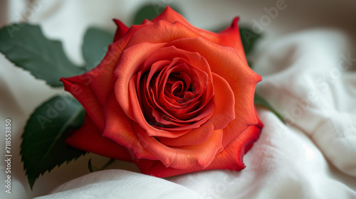 A close-up shot of a vibrant red rose resting on a crisp white bed. shutter speed, showcasing the delicate petals against the clean fabric, Beautiful rose, in full bloom