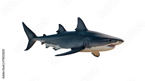Shark isolated on white  shark PNG  shark PNG transparent images  shark wallpaper  blue color  and sea shark animal  Dangerous sea animals