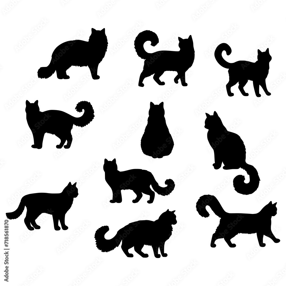 Isolated cats on the white background. cats silhouettes. Vector EPS 10.	
