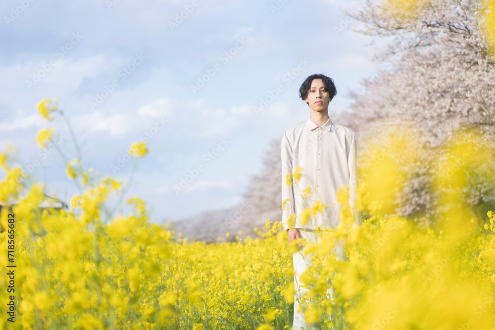 桜と黄色い花の咲く土手に立つ若い男性/前を見つめている 桜と黄色い花の咲く土手に立つ若い男性/前を見つめている