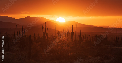 Orange sunset over the desert 