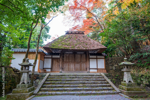 Gate to Honen-in Temple. Maple trees turn red in autumn. Kyoto, Japan. photo