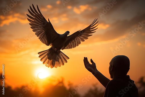 Silhouette pigeon return coming to hands in air vibrant sunlight sunset sunrise background. Freedom making merit concept. Nature animal people hope pray holy faith. International Day of Peace