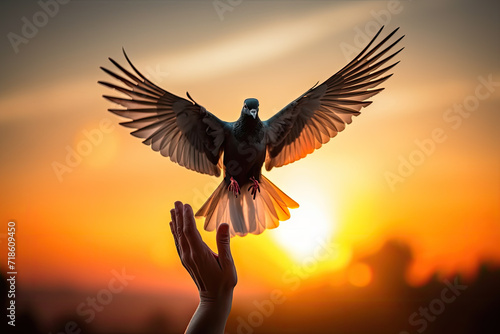 Silhouette pigeon return coming to hands in air vibrant sunlight sunset sunrise background. Freedom making merit concept. Nature animal people hope pray holy faith. International Day of Peace