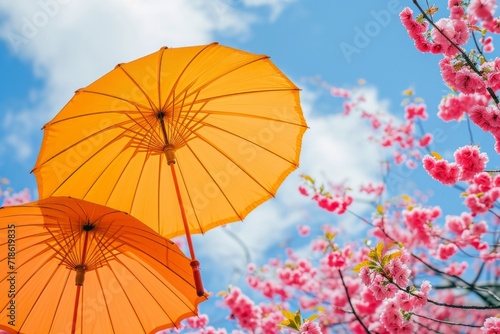 Vibrant Orange Umbrellas Contrast with Pink Cherry Blossoms Against Blue Sky