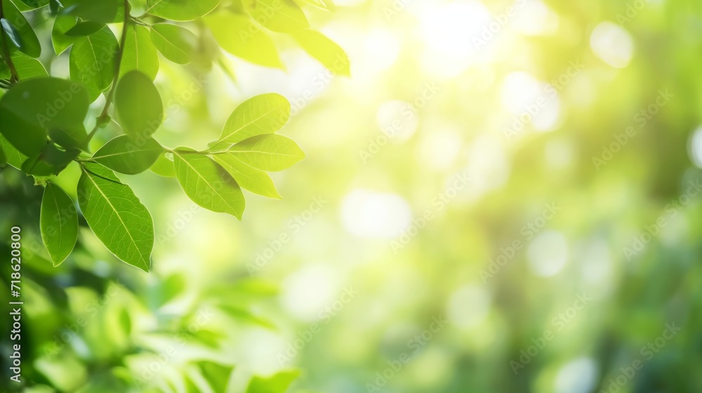 Close up of beautiful nature view of green leaf on blurred greenery background in garden and sunlight with copy space using as background. Close up of beautiful nature view of green leaf on blurred greenery background in garden and sunlight with copy space using as background.