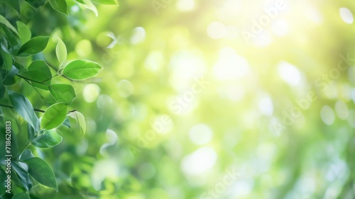 Close up of beautiful nature view of green leaf on blurred greenery background in garden and sunlight with copy space using as background.