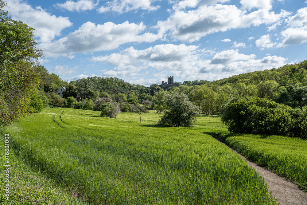 Panoramic image of old Wernerseck castle during Summer in Eifel, Rhineland-Palatinate, Germany near Town OCHTENDUNG Panoramic image of old Wernerseck castle during Summer in Eifel, Rhineland-Palatinate, Germany near Town OCHTENDUNG