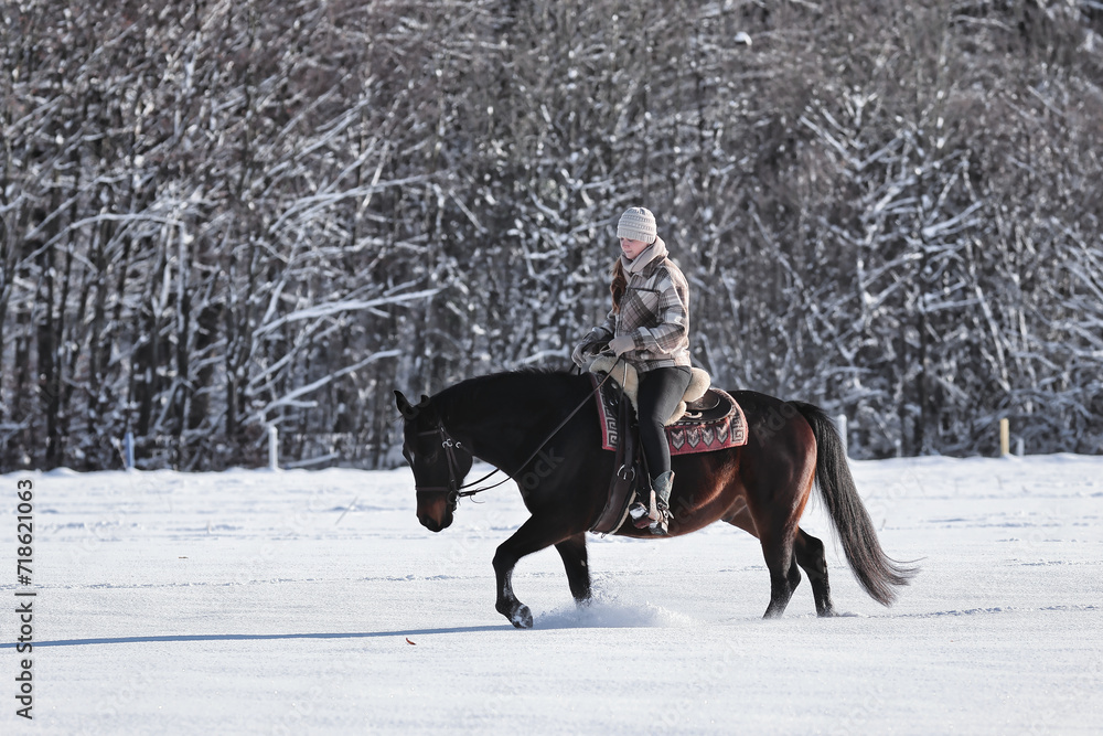 Horse and rider in a white winter landscape in the sunshine. Horse and rider in a white winter landscape in the sunshine.