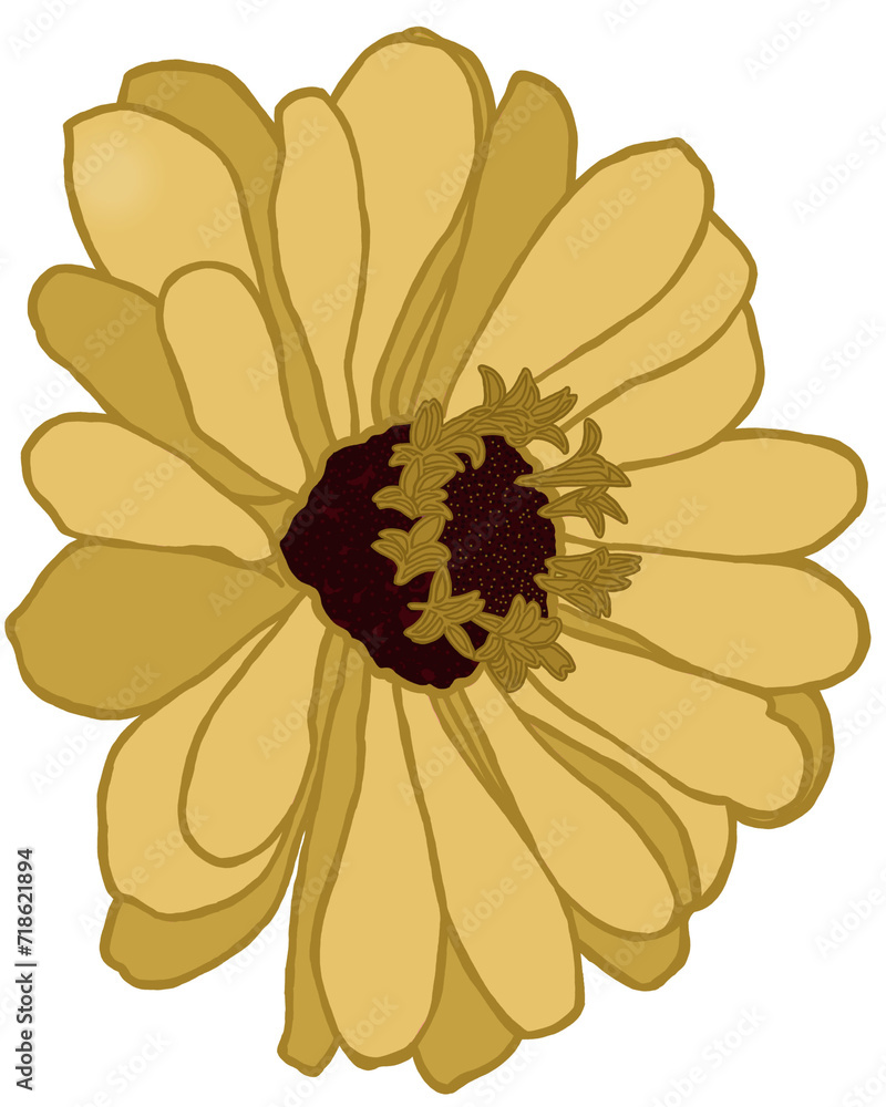 Flower, yellow flowers, blooming flower Flower, yellow flowers, blooming flower