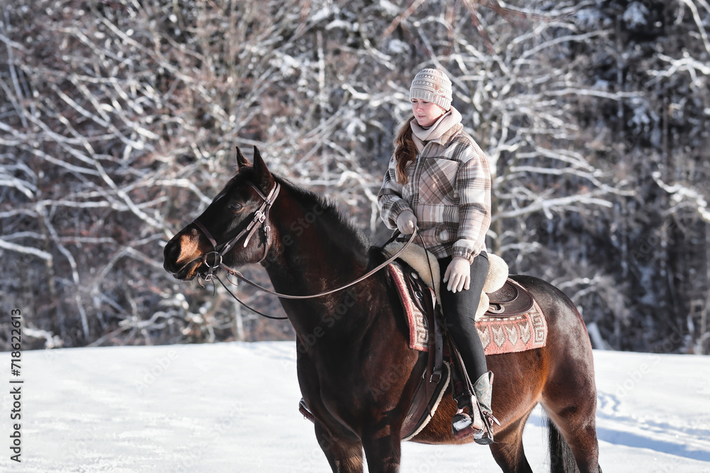 Horse and rider in a white winter landscape in the sunshine. Horse and rider in a white winter landscape in the sunshine.