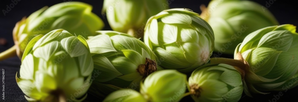 Ingredients for brewing beer, hops on a wooden table. Beer brewery concept. Ingredients for brewing beer, hops on a wooden table. Beer brewery concept.