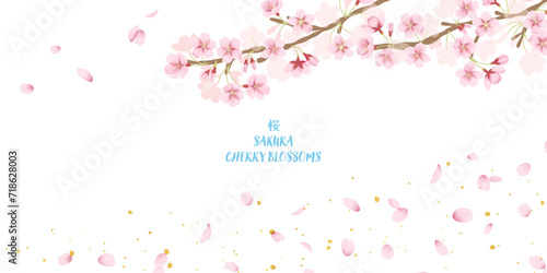 桜の花と花吹雪の背景イラスト
 photo