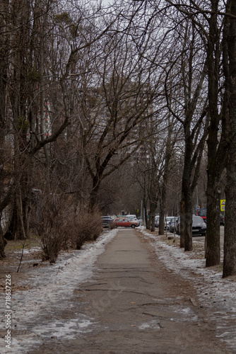 Kyiv, Ukraine - January 20, 2024:cozy sleeping district of Borshchagivka. people are walking in the park on a day off.There are many different trees in Yunist Park. is located near residential buildin