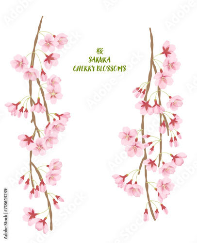 水彩風のしだれ桜のイラストパーツセット
