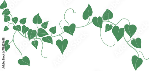 Obraz na płótnie ivy plant drawing illustration. w salonie
