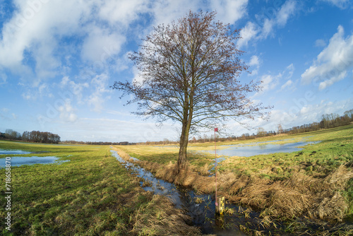 Landschaft mit überfluteten Wiesen mit einem Baum am Wassergraben