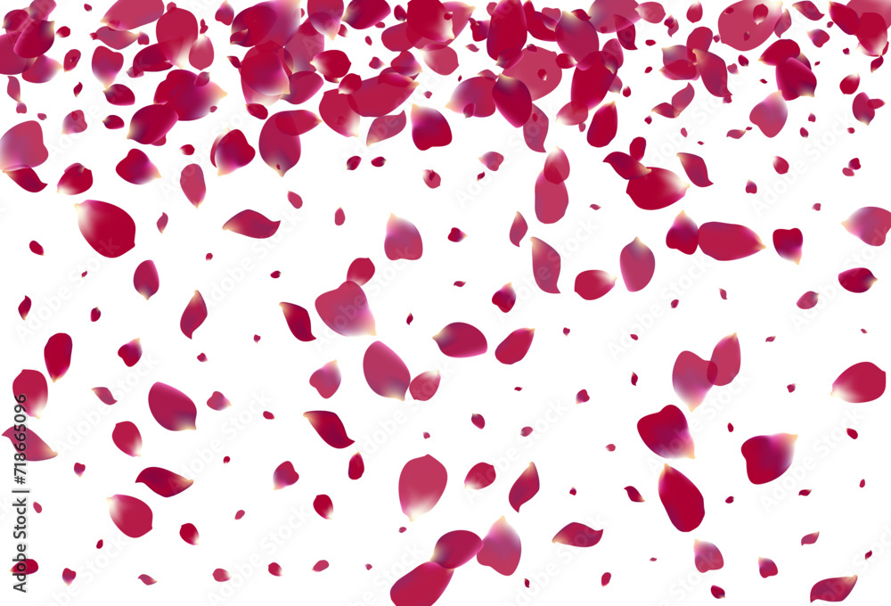 Purple Flower Blur Vector White Background. Purple Flower Blur Vector White Background.