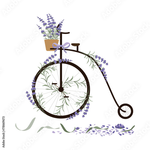Vintage Penny Farthing bicycle with lavender flowers as decor. Thank you card. Vector illustration in flat style
