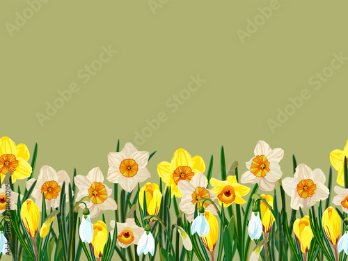 Horizontal flower border of daffodils, hyacinths, snowdrops, crocuses.