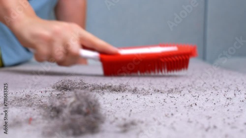 Close-up of a red cleaning brush gathering pet hair on a grey fabric surface, routine home cleaning when you live with a pet photo