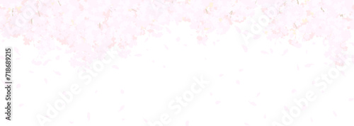 ふわふわした桜