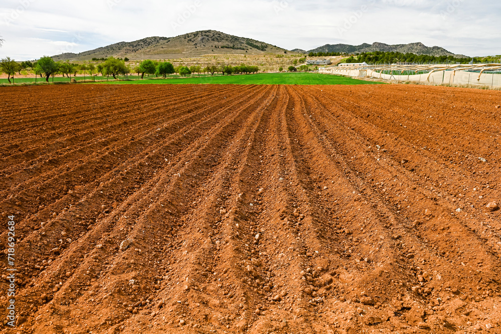Prepared Farmland with Distinctive Furrows Under Cloudy Sky Prepared Farmland with Distinctive Furrows Under Cloudy Sky