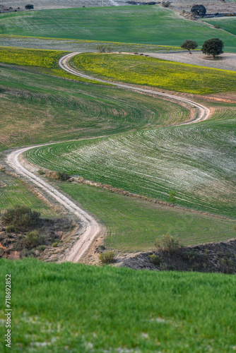 Winding Dirt Road through Multicolored Agricultural Fields