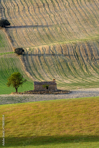 Rustic Abandoned Stone Building and Lone Tree in Striped Fields