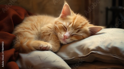 A cute little fluffy cat is lying on a soft pillow or blanket. The cat is sleeping sweetly. The concept of comfort, warmth.