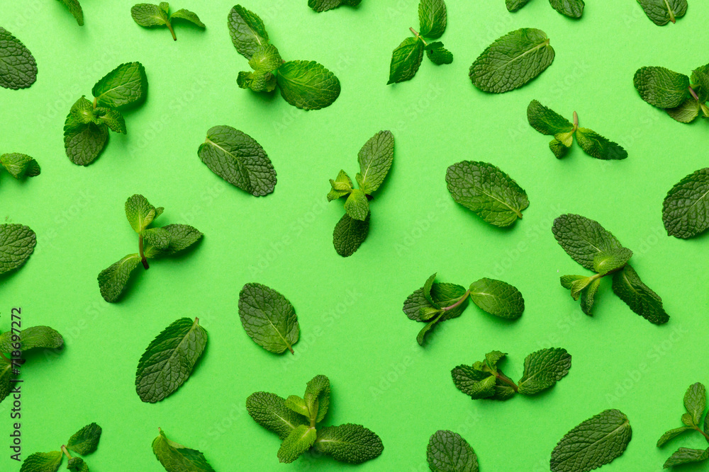 Fresh green mint leaves on white background, Mint leaves pattern Top view with copy space Fresh green mint leaves on white background, Mint leaves pattern Top view with copy space