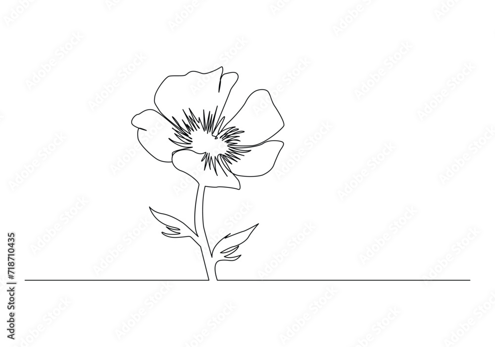 Obraz premium Poppy flowers continuous one line vector art illustration and single outline simple flower design