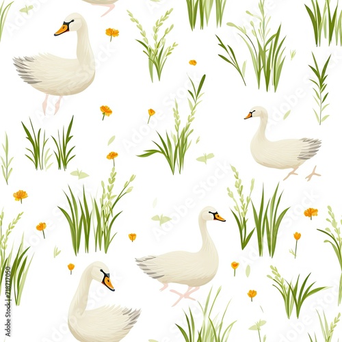 Two White Ducks Standing on Grass Field