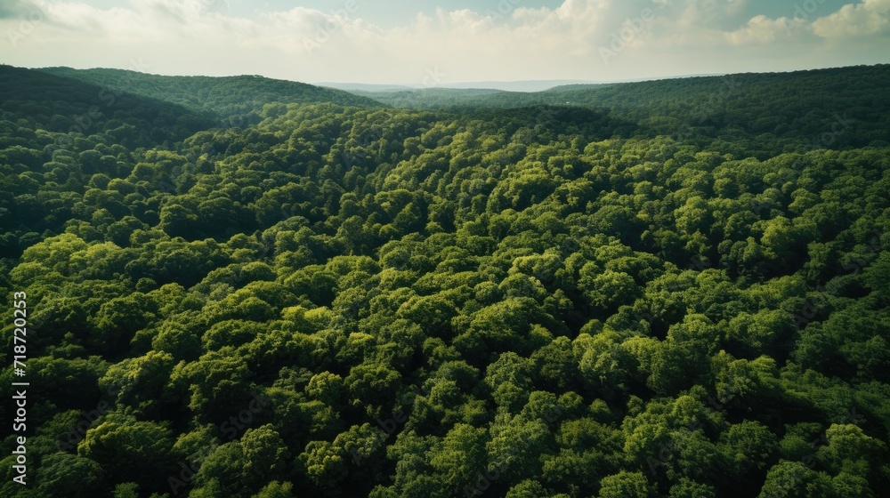 Drone view green forest. Generative AI Drone view green forest. Generative AI