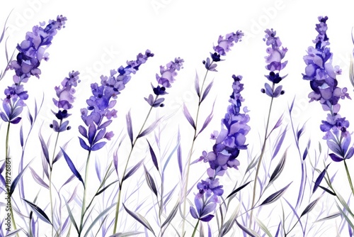 watercolor background of colorful lavender flowers