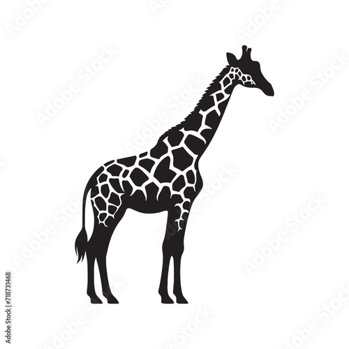 Fototapeta Naklejka Na Ścianę i Meble -  Celestial Wanderlust: Giraffe Silhouettes Roaming the Starlit Plains, Embraced by the Night's Embrace - Giraffe Illustration - Giraffe Vector
