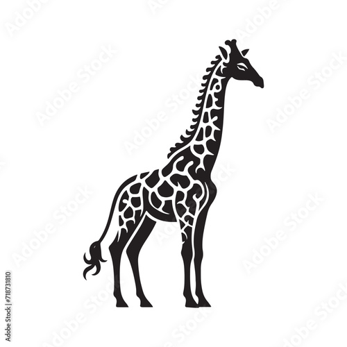 Elegance in Shadows  Giraffe Silhouette Series Capturing the Graceful Contours of Nature s Tallest Wanderer - Giraffe Illustration - Giraffe Vector 