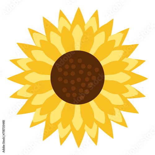 flat sun flower element