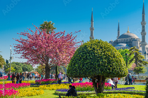 Blue Mosque - The most important mosque in Istanbul photo