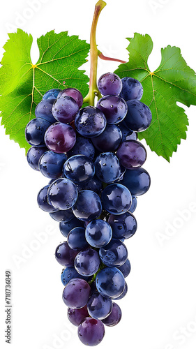 bunch of grapes on a white background. close-up.