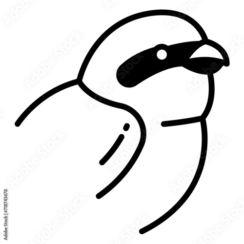 Shrike bird glyph and line vector illustration