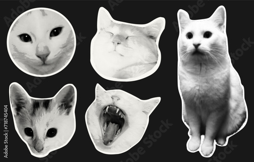 Cat magazine clipping collage halftone collection. Vector illustration. Retro style, vintage, magazine clippings, sticker